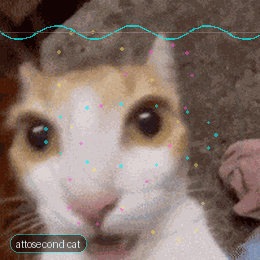 Attosecond Schrödinger cat animation